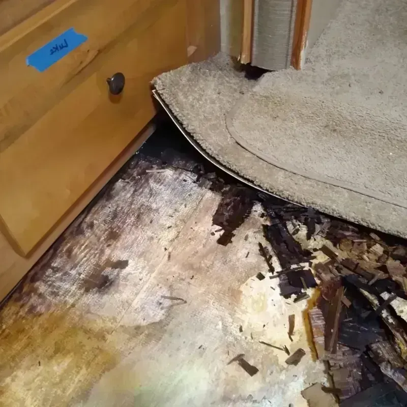 Best Wood Floor Water Damage Service in Mingo Junction, OH